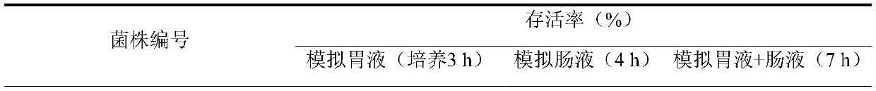 Lactobacillus plantarum capable of improving sleep and application thereof