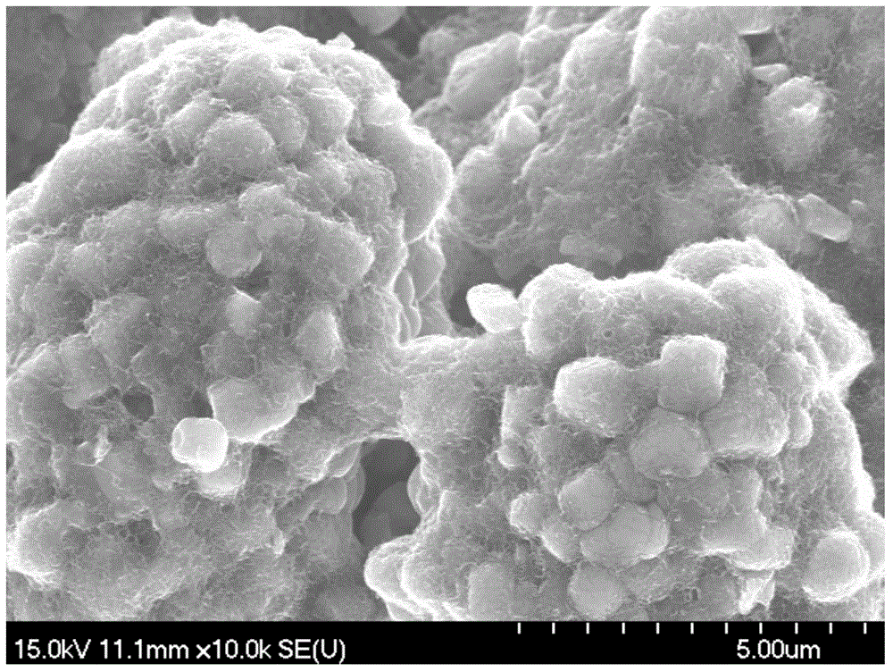 Composite conductive paste for anodes and cathodes of lithium ion batteries as well as preparation method for composite conductive paste