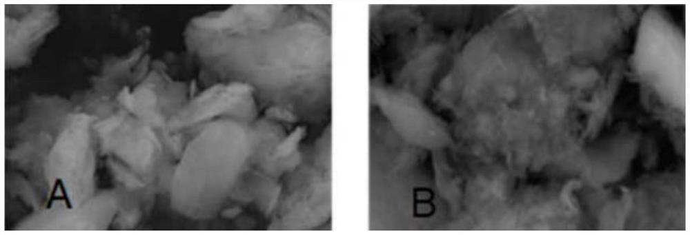 Composite adsorbent based on water purification sludge and powdered activated carbon and its preparation method and application