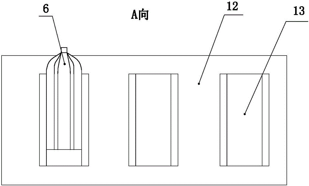 Cabbage packaging production line