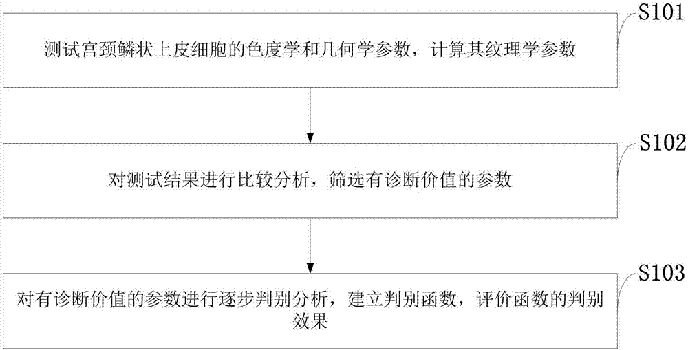 Method of analyzing and testing cervical squamous epithelial cell parameters based on computer images