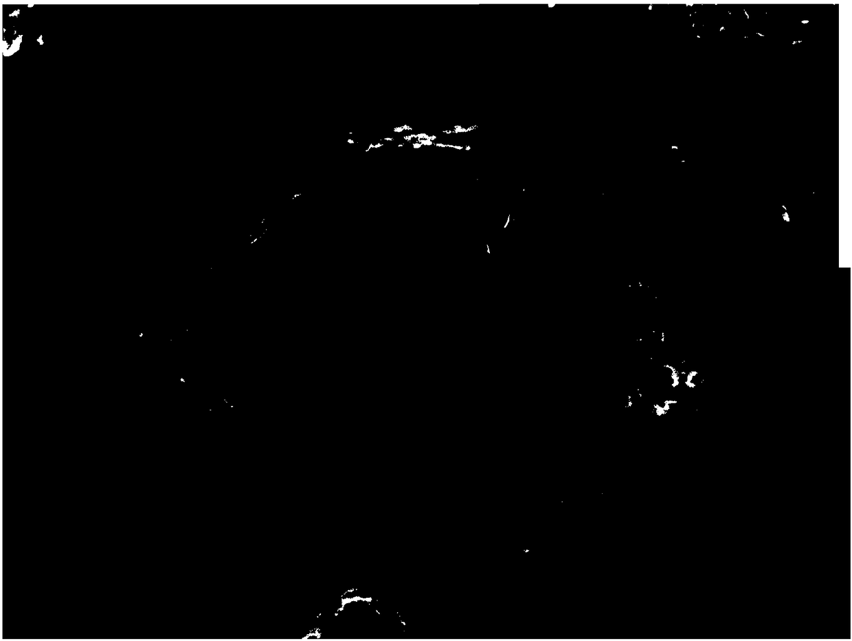 Preparing method of lithium ion battery silicon carbon negative electrode material