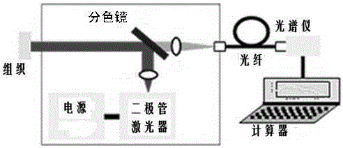 Kit for benign lesion identification and malignant lesion detection of oral mucosa and detection method thereof