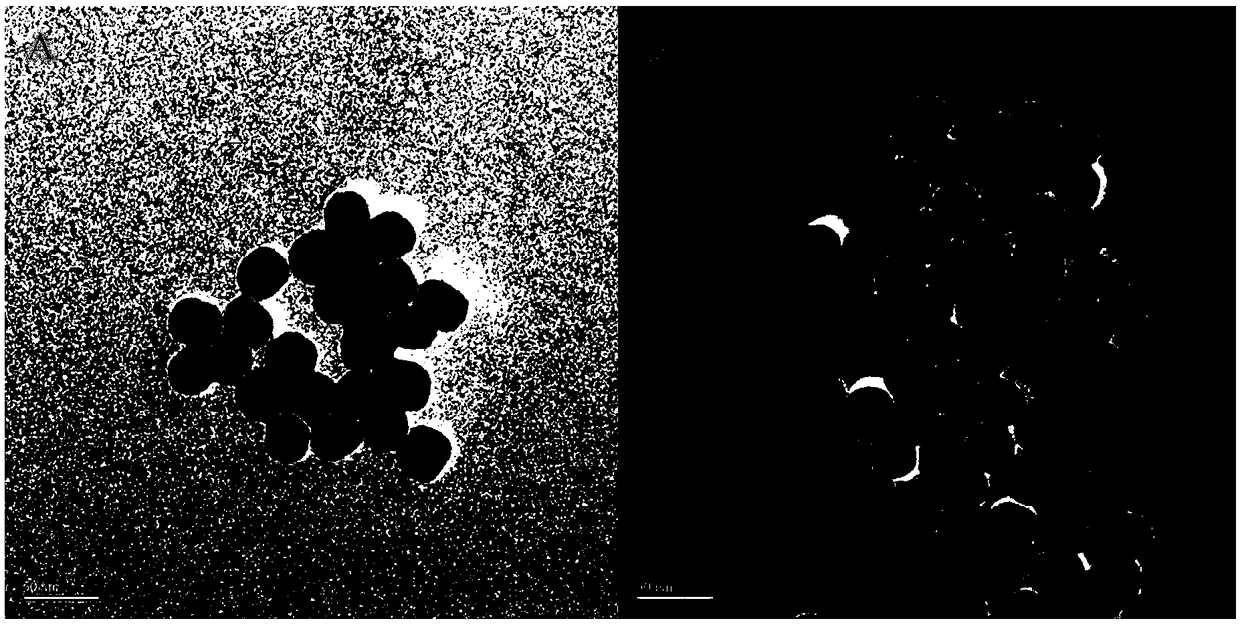 Bisphenol A and 17beta-estradiol detection kit based on upconversion fluorescence aptamer sensor, application and detection method