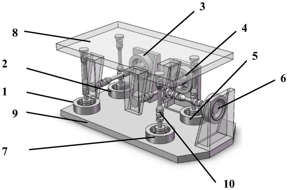 Flexible member with crisscross structure and strain balance