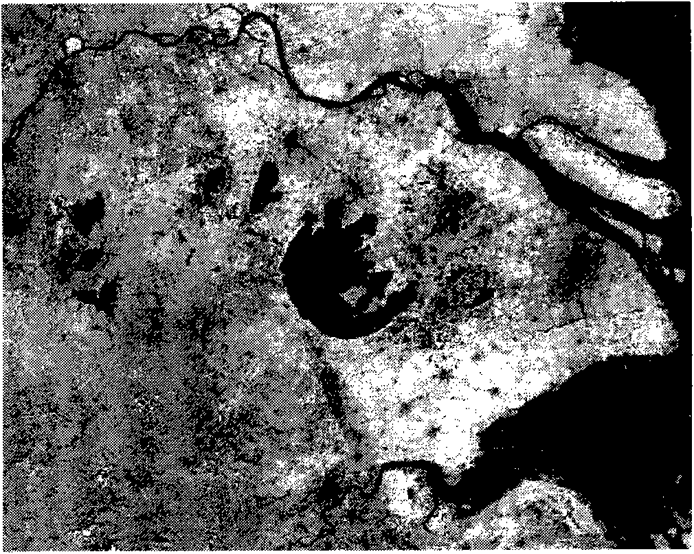 Remote sensing image encryption method based on elliptic curve cryptosystem