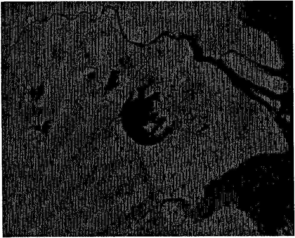 Remote sensing image encryption method based on elliptic curve cryptosystem