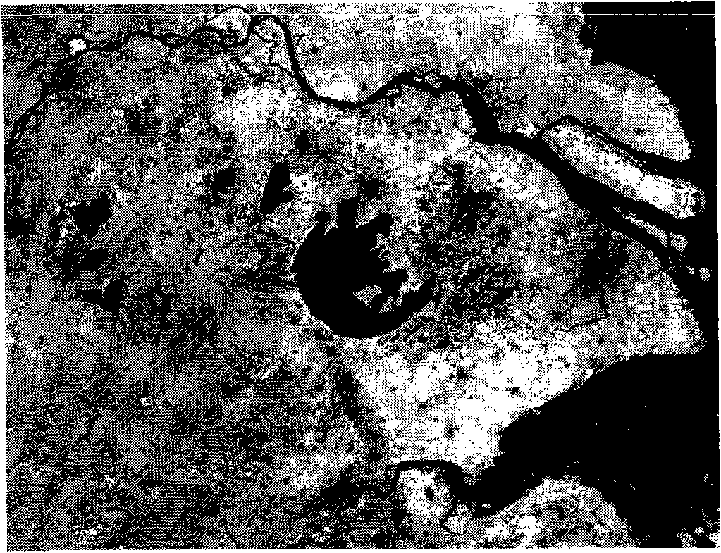 Remote sensing image encryption method based on elliptic curve cryptosystem