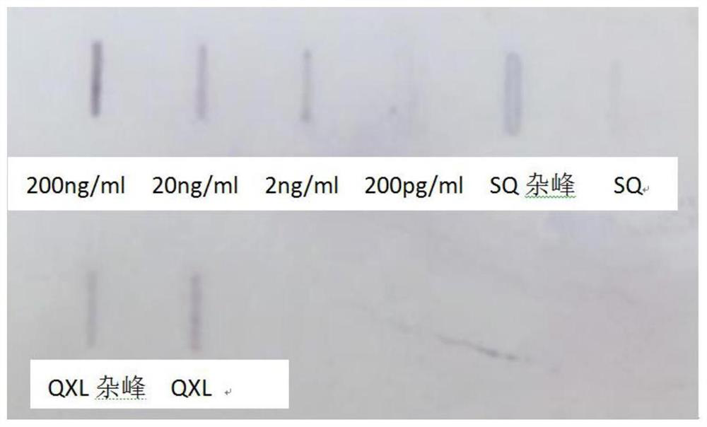 A kind of purification method of lentivirus