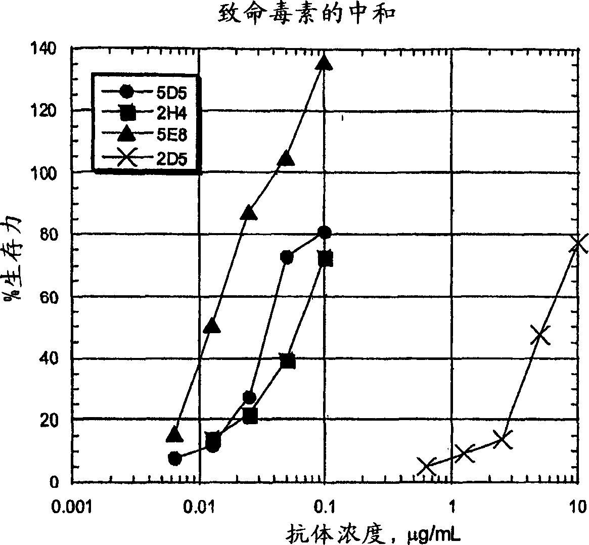 Human monoclonal antibodies against bacillus anthracis protective antigen