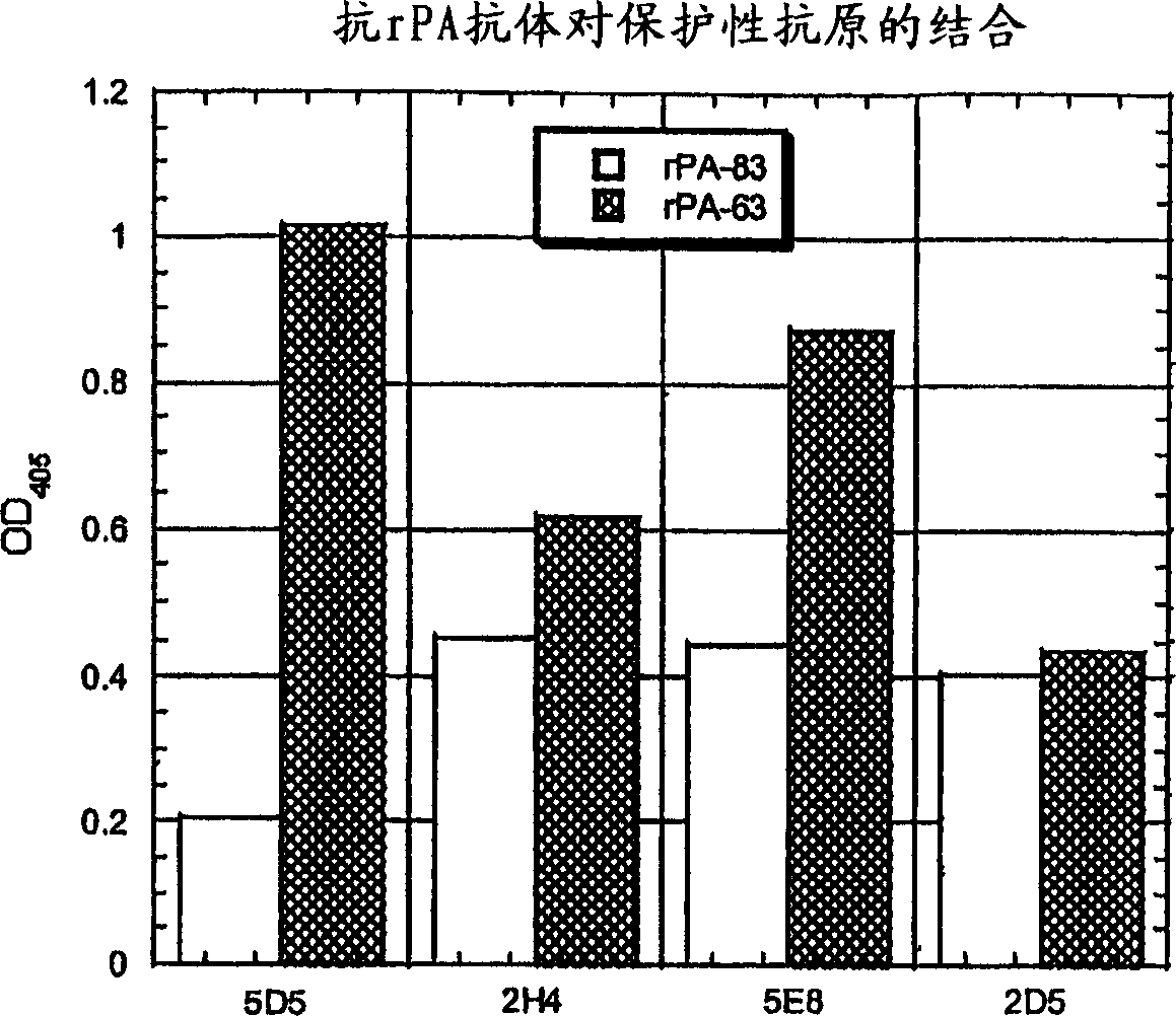 Human monoclonal antibodies against bacillus anthracis protective antigen