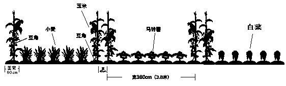 Five-to-two combined planting method for crops capable of being harvested for four times in one season