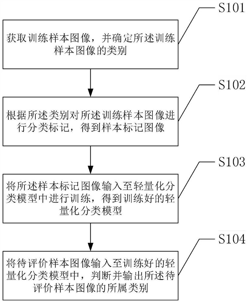 Classification detection method and device based on lightweight classification model