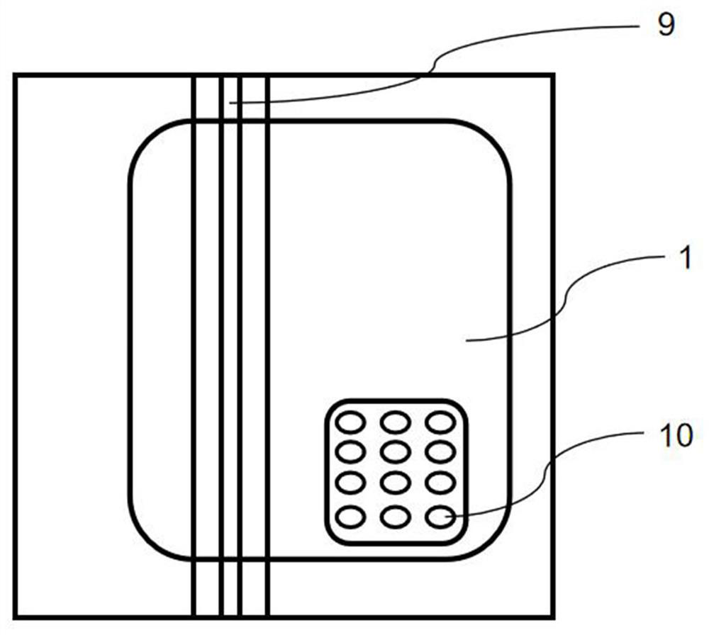 Semiconductor laser chip and process for resisting electrostatic shock