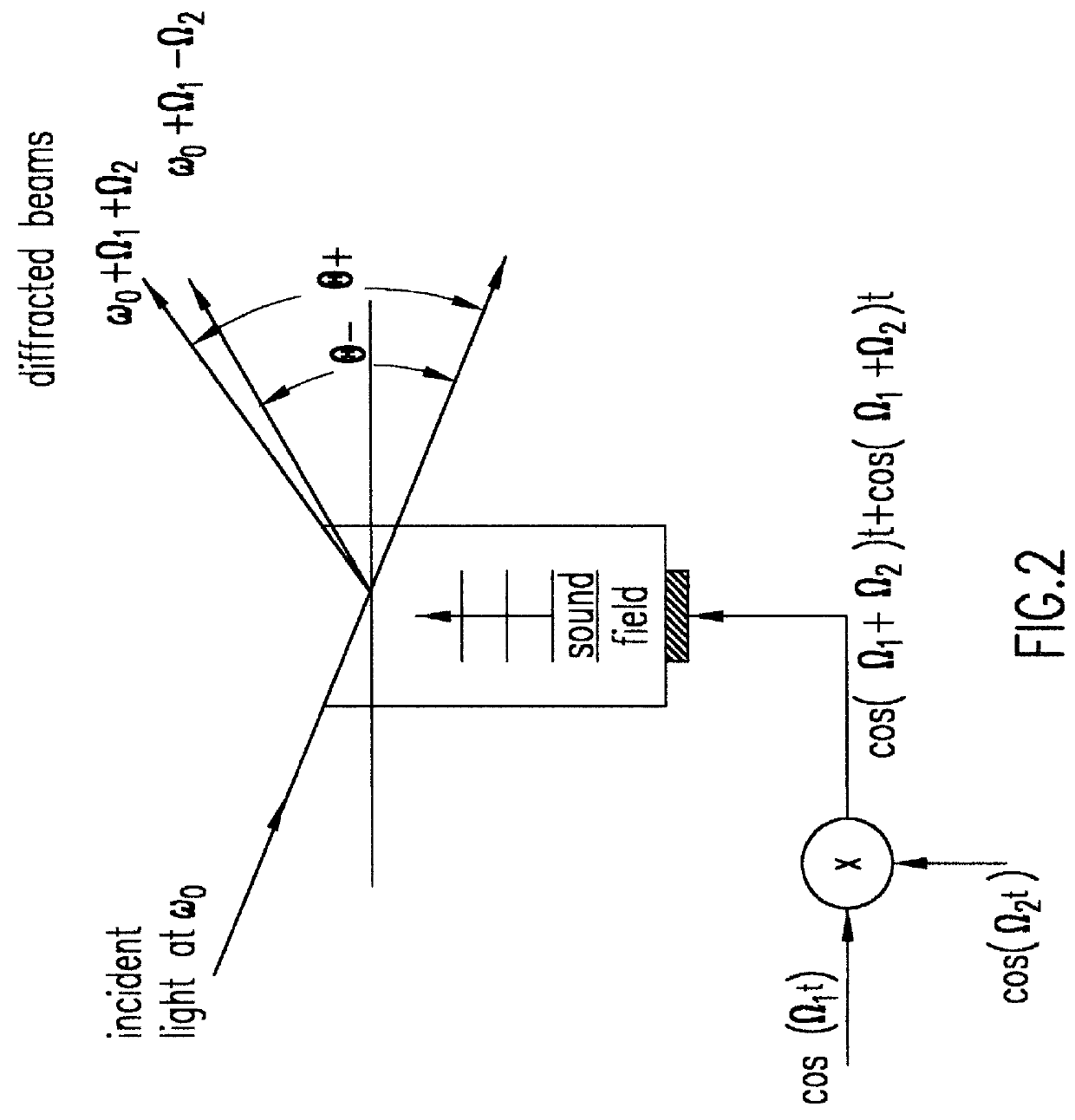 Three-dimensional holographic fluorescence microscope