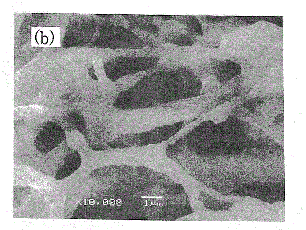 Pfa porous sheet