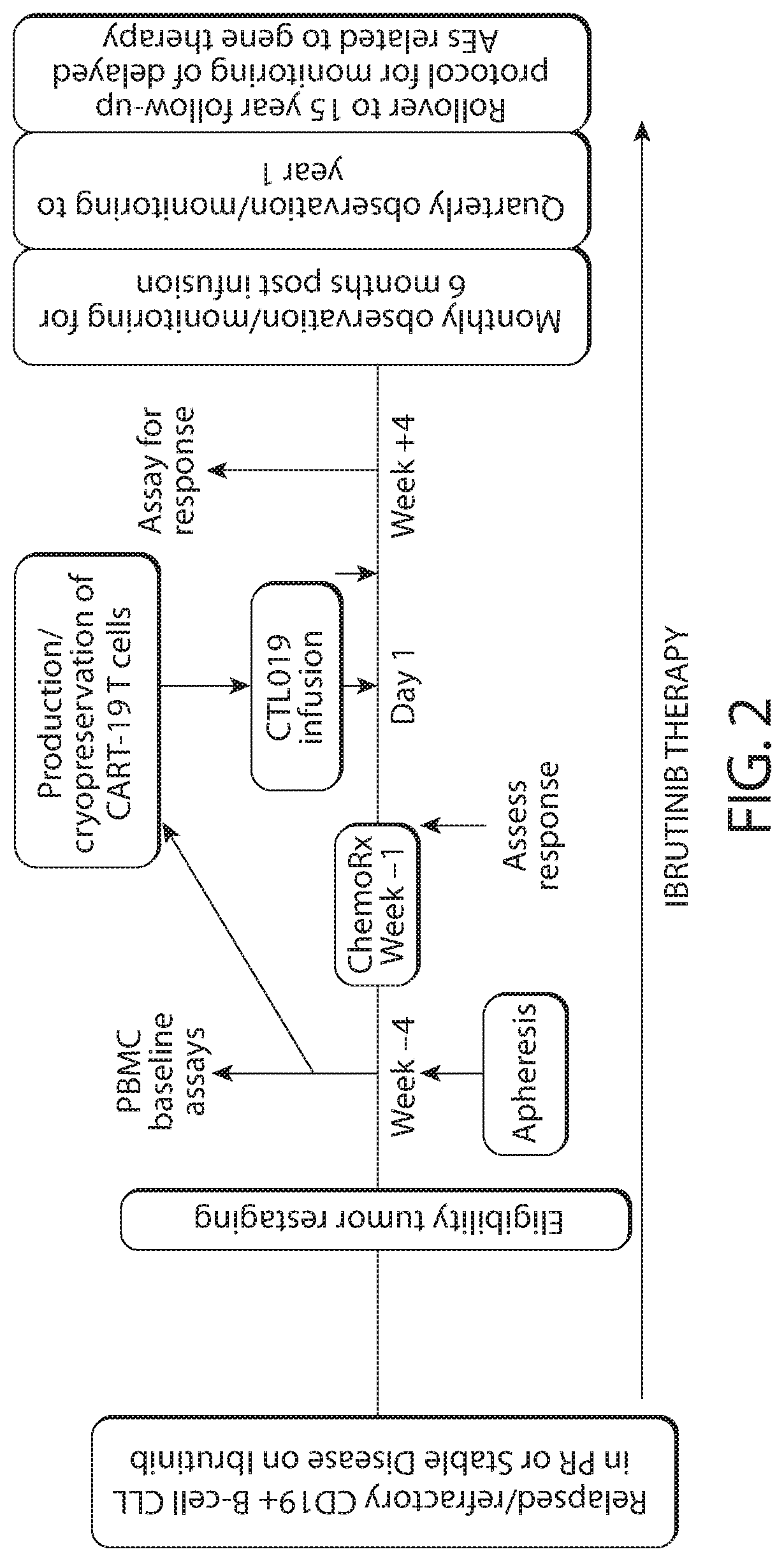 Combination therapy with chimeric antigen receptor (CAR) therapies