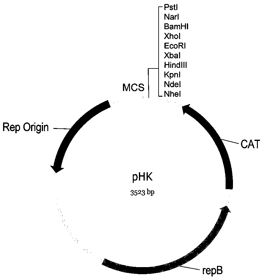 A gene element suitable for genetic modification of thermophilic microorganisms, its carrier and application