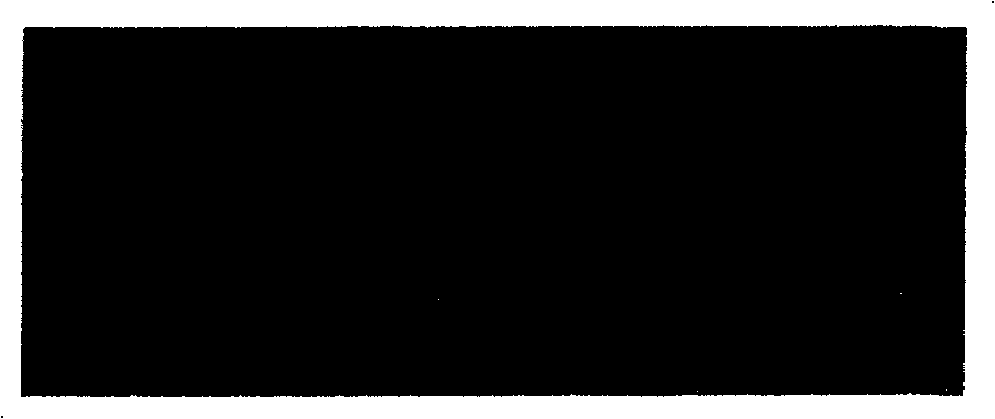 Large-shearing carrier-frequency electronic speckle interference displacement field separating method