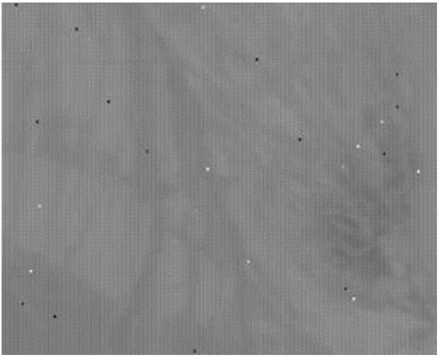 CCD original image processing method