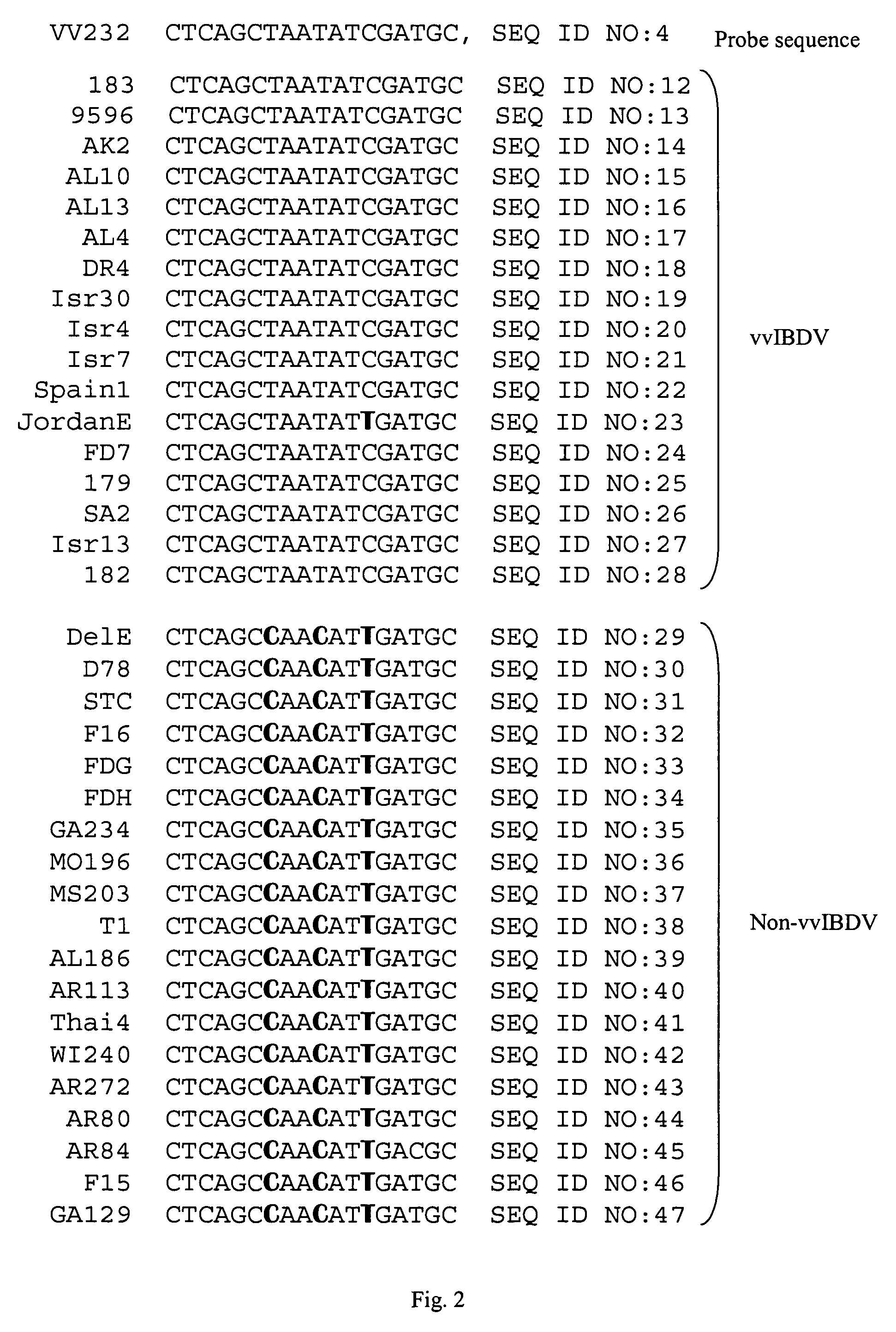 Detection of very virulent infectious bursal disease virus