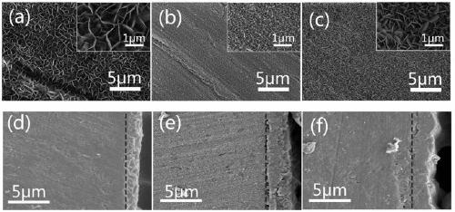 Surface-modified magnesium alloy material with good corrosion resistance and biocompatibility, preparation method and application thereof