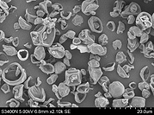 Functional digestible micelle-state casein powder and preparation method thereof