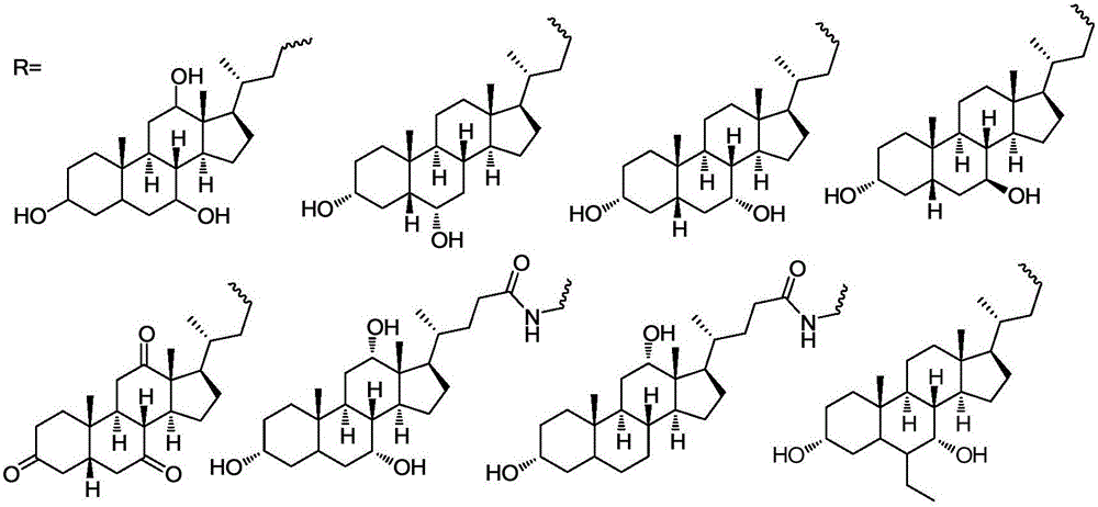 Preparation and medical application of cholic acid berberine conjugate