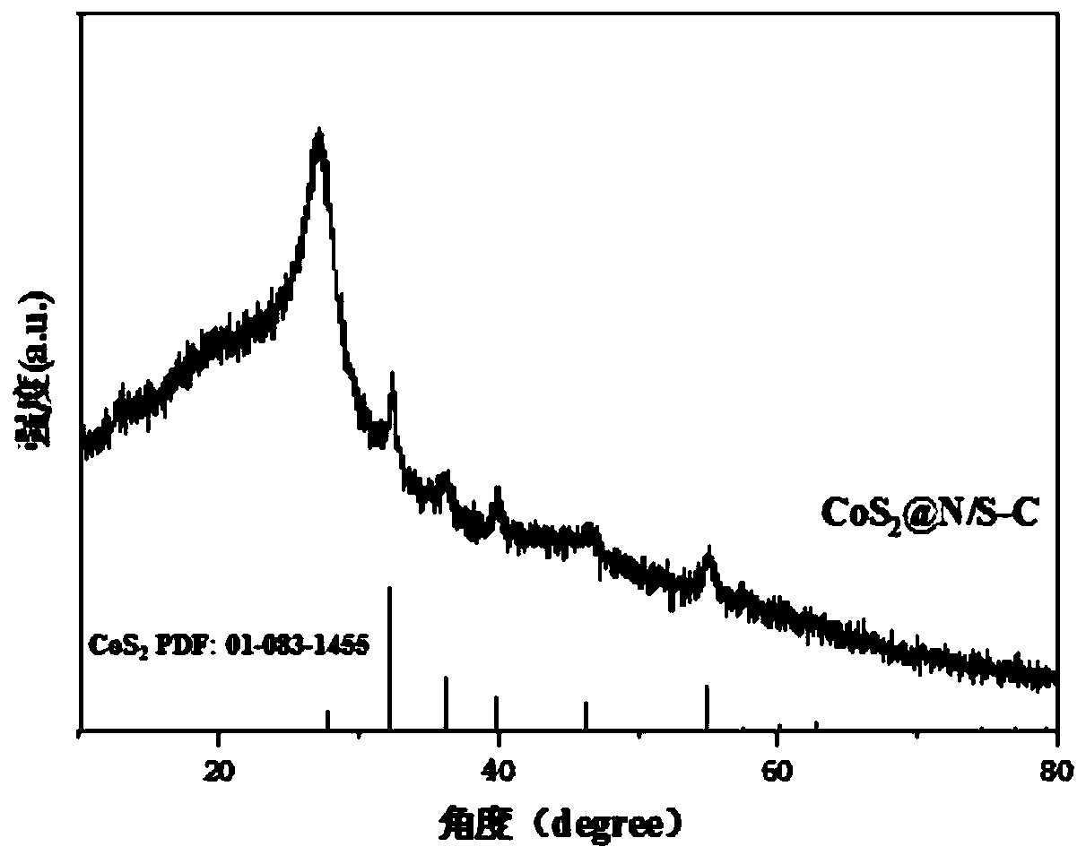 Cobalt-sulfur compound/nitrogen-sulfur-doped carbon composite catalyst and preparation method thereof