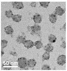 Targeting polymer micelle containing acid-sensitive subsurface, and preparation method thereof