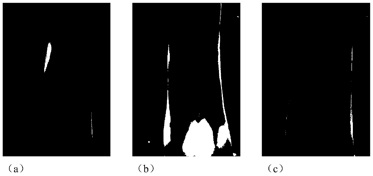 A finger vein recognition method and device based on attribute learning