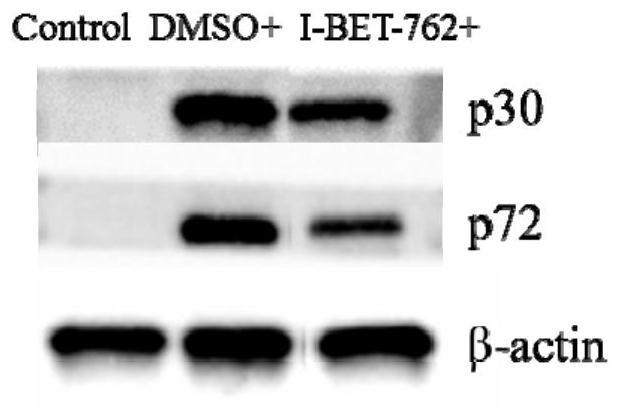 New application of compound I-BET-762 in preventing or treating African swine fever