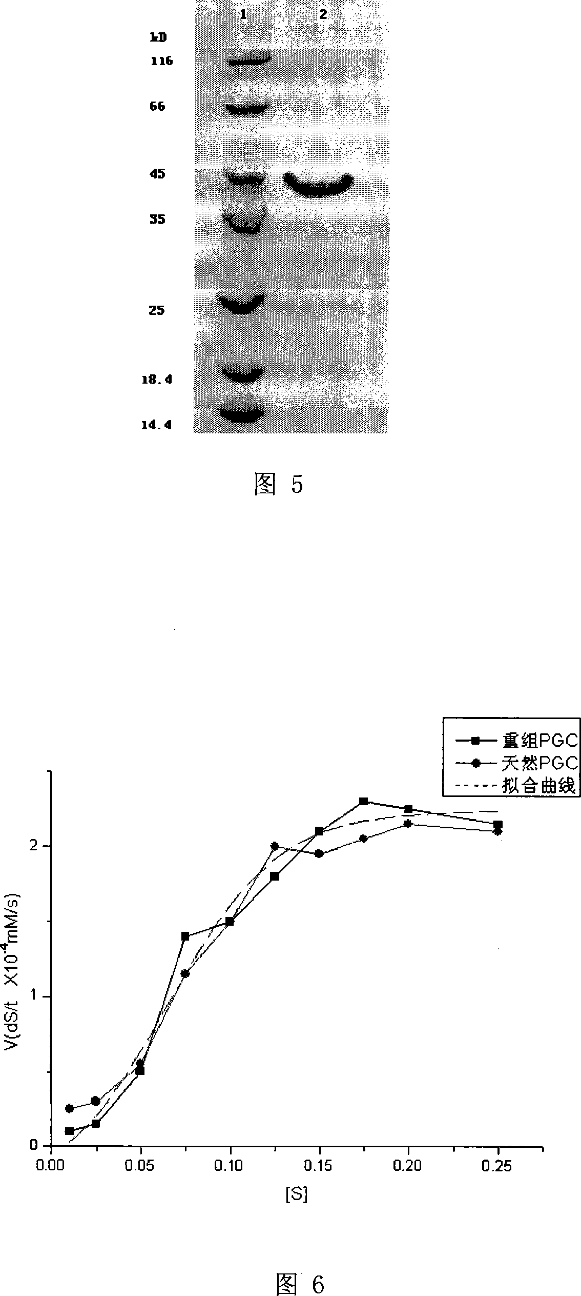 Yeast engineering bacterium for producing human pepsinogen and its preparation method and application