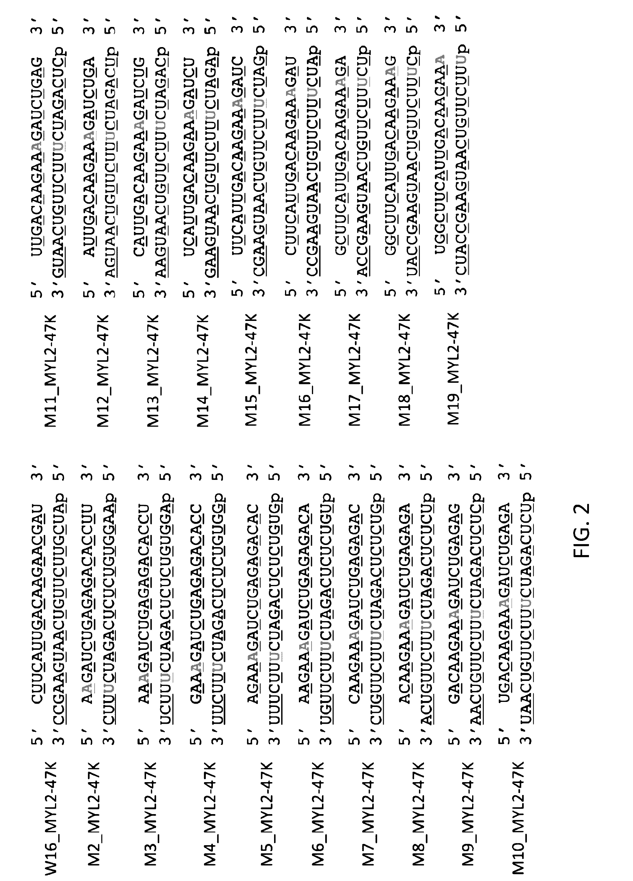 Oligonucleotides and Methods for Treatment of Cardiomyopathy Using RNA Interference