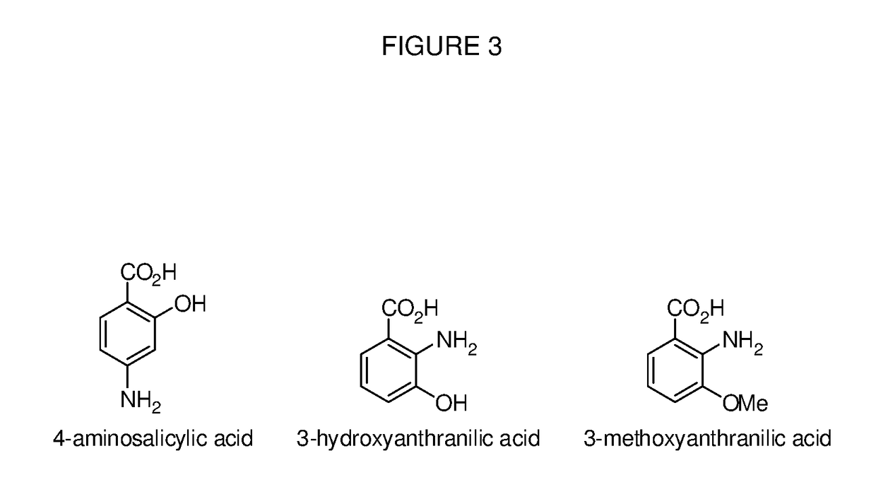 Benzoic acid, benzoic acid derivatives and heteroaryl carboxylic acid conjugates of oxymorphone, prodrugs, methods of making and use thereof