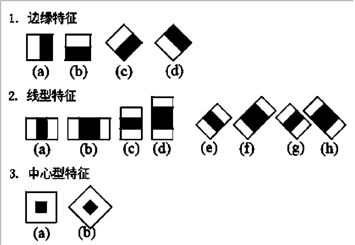 Video object tracking method based on self-adaptive measurement matrix