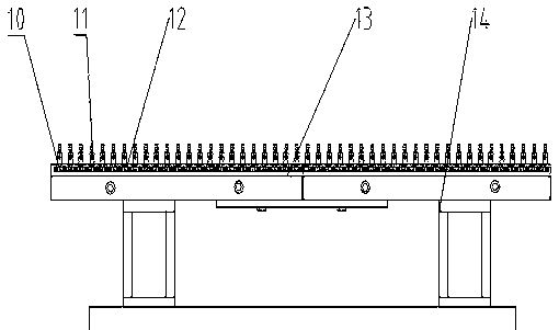 Preparation device of planting cotton seedling plug