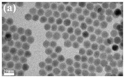 Noble metal-rare earth nano composite system for modulating solar spectrum and preparation method of noble metal-rare earth nano composite system