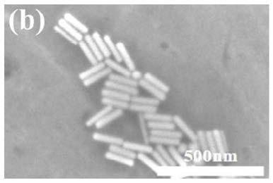 Noble metal-rare earth nano composite system for modulating solar spectrum and preparation method of noble metal-rare earth nano composite system