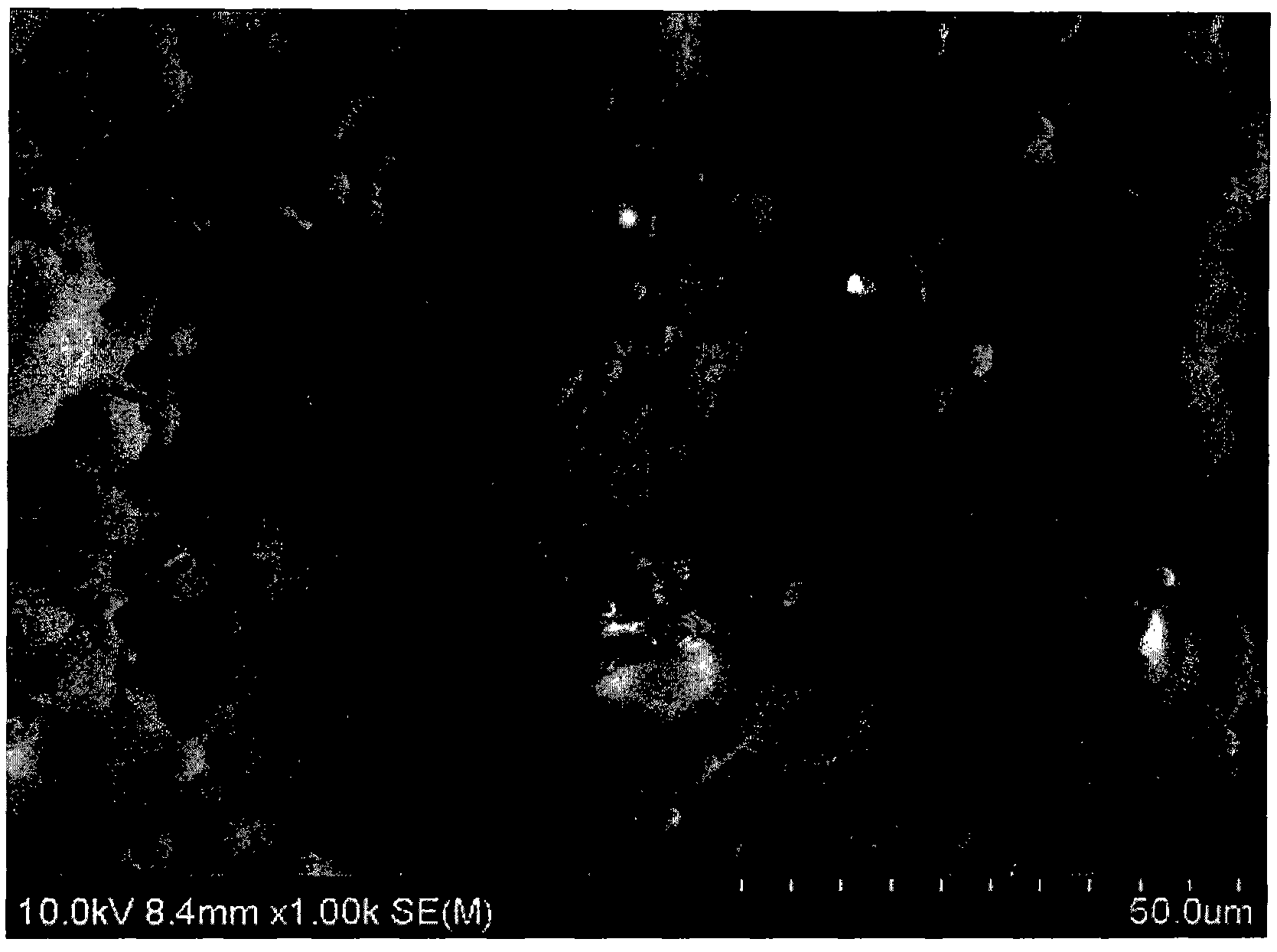 Composition for precious metal sintering, process for producing precious metal sinter and precious metal sinter