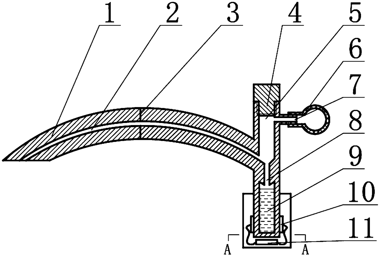 Salinity detection device for cooking and manufacturing method of salinity detection device