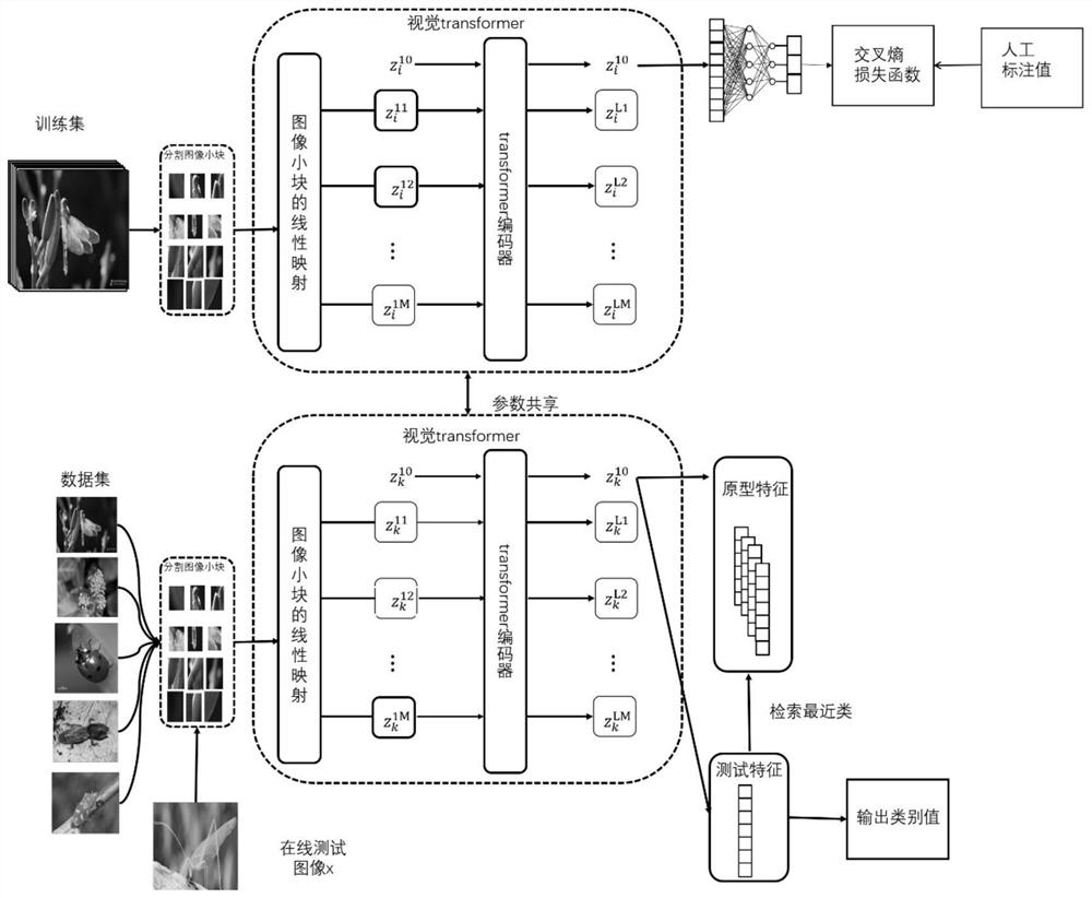 Small sample insect image recognition method based on visual Transform