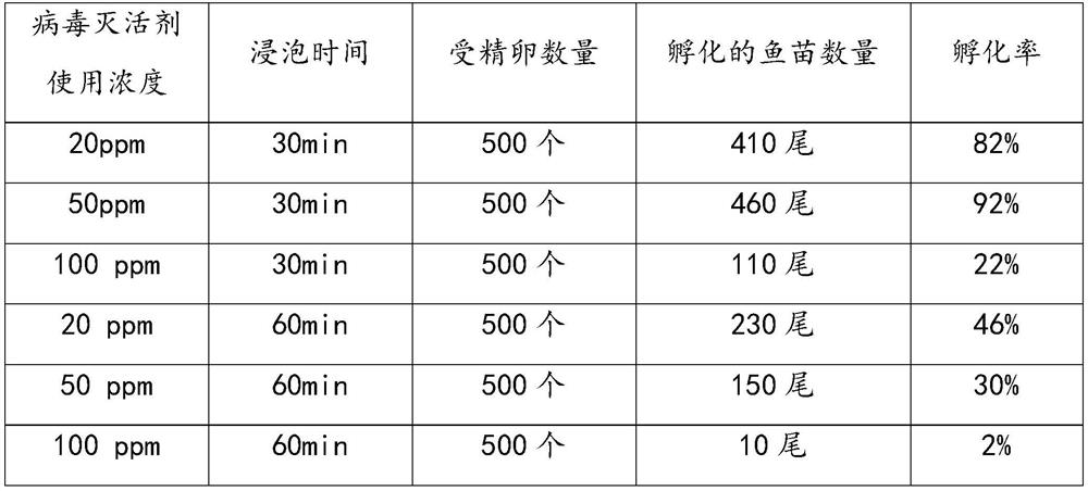 Method for breeding virus-free fries of siniperca chuatsi