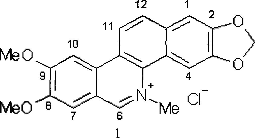 Preparation method of targeting antineoplastic medicine nitidine chloride complexes, product thereof and injection containing the product