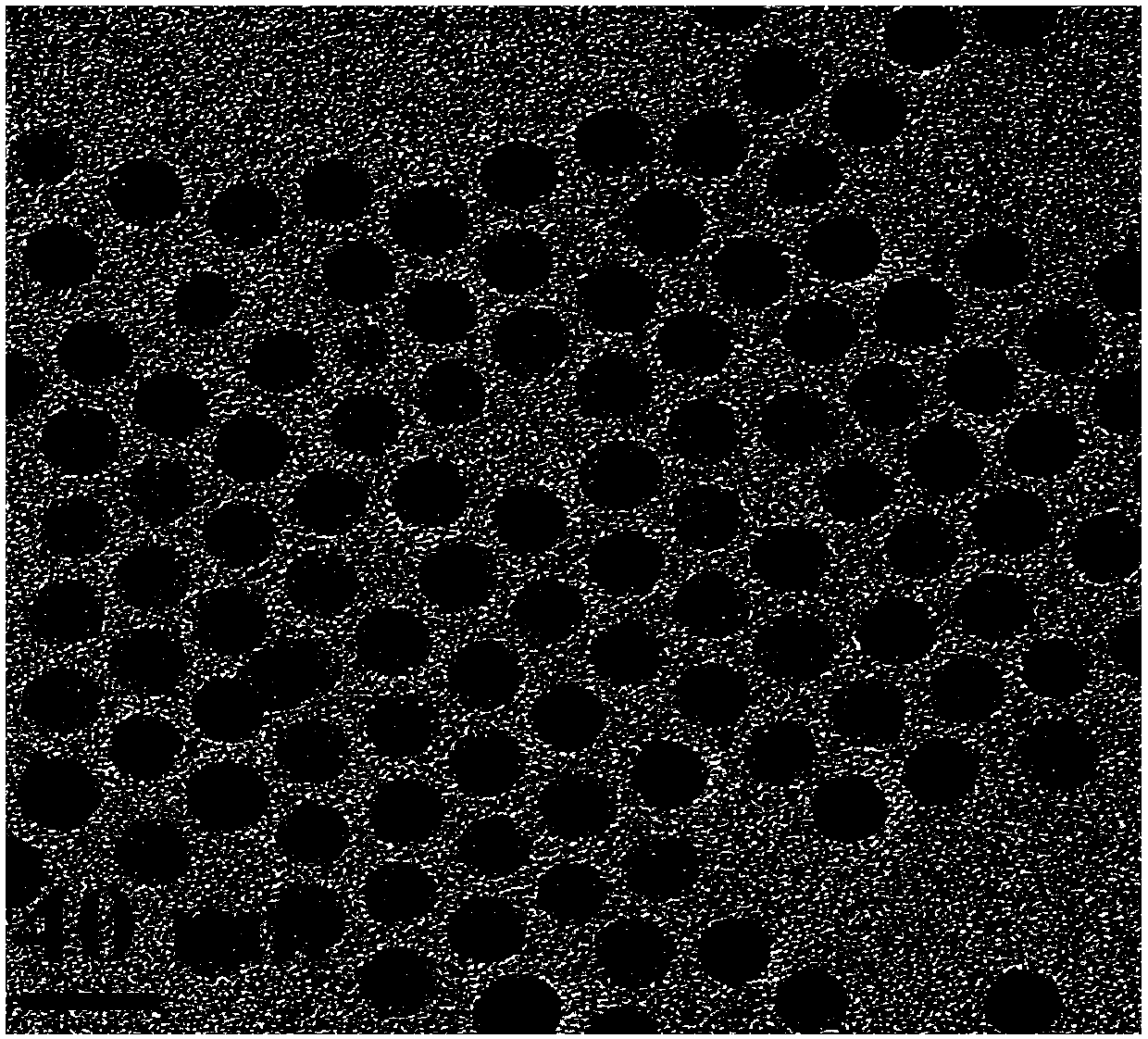 High-sensitivity bimodal magnetic resonance contrast agent and preparation method thereof