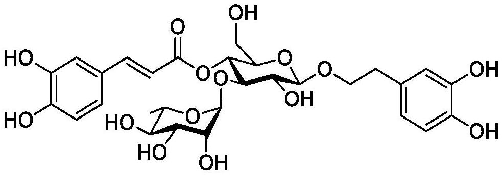 Composition for skin, application of composition, whitening and brightening cosmetic composition and preparation method of whitening and brightening cosmetic composition