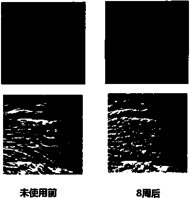 Whitening anti-aging paste containing hexylresorcinol and astaxanthin