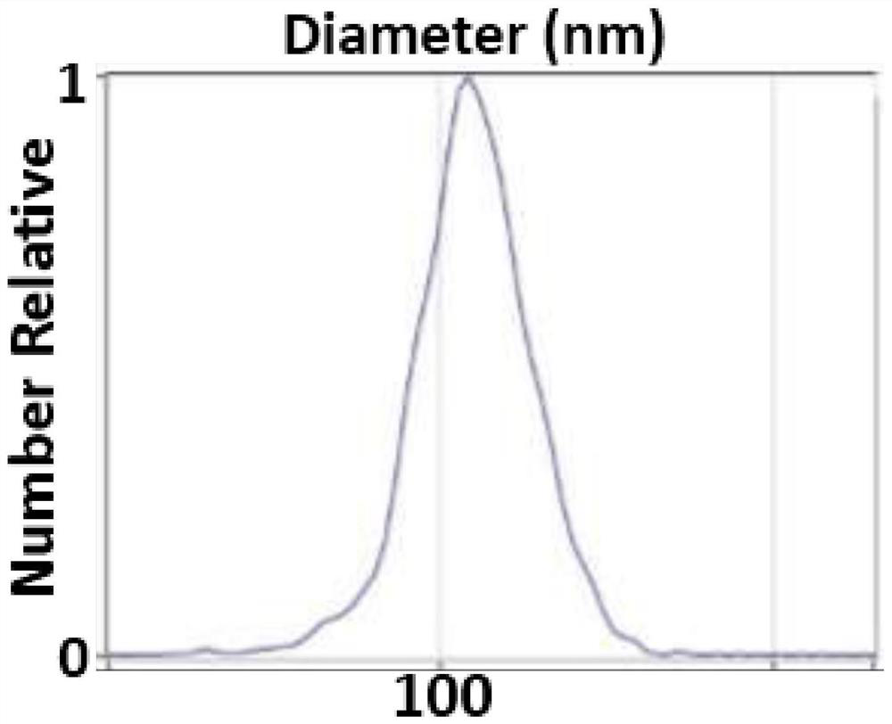 Preparation of exosomes from dental epithelial cells, preparation and application of exosome implants