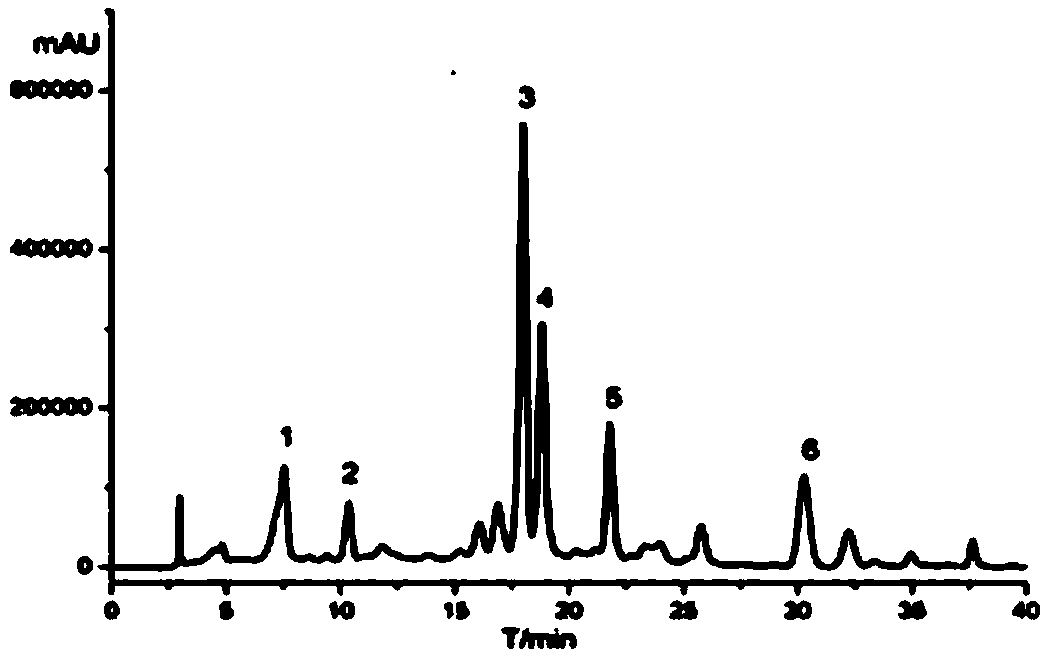 Preparation method for polyphenol monomers from gnaphlium affine