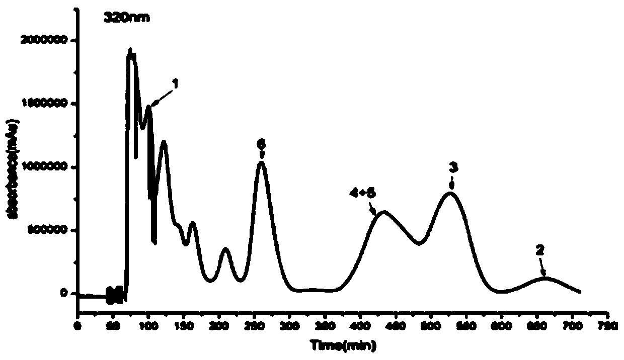 Preparation method for polyphenol monomers from gnaphlium affine